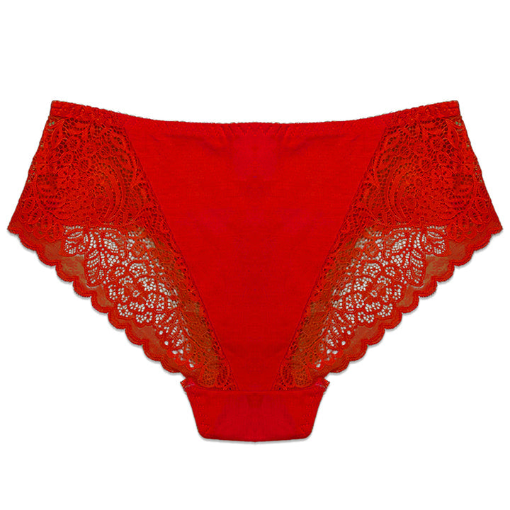 Pack of 3 Briefs Panties - Lace Desire