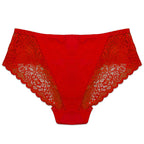 Pack of 3 Briefs Panties - Lace Desire