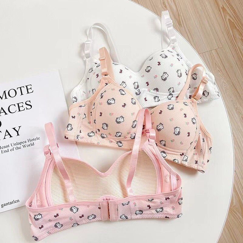 Noir Lingerie NL-1016 Floral Soft Cup Bra Set (Pack of 2)