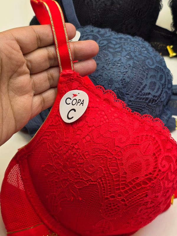 Aura Lace Bra