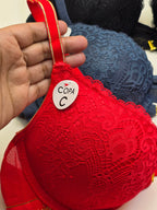 Aura Lace Bra